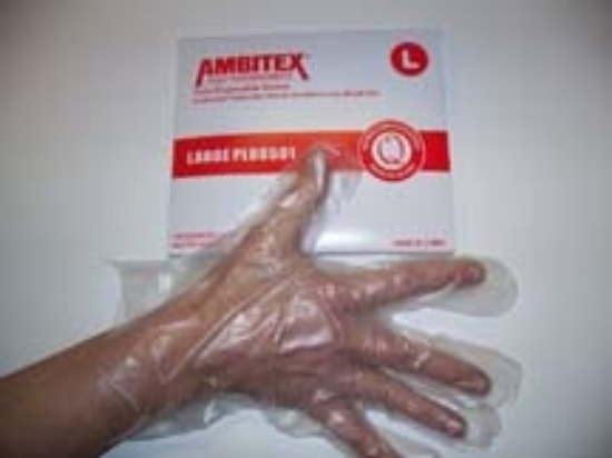 Disposable Food Service Gloves 500ct