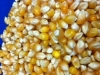 Raw Popcorn Kernels