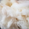 Dutch Hill Maple Cotton Candy.jpg