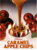 CARAMEL APPLE CHIPS made from  DELUXE APPLE CUTTER 8 slice