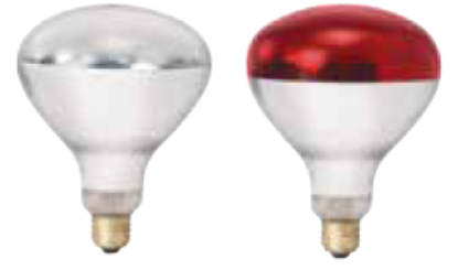 WINCO EHL-BR HEAT LAMP BULB