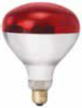 WINCO EHL-BR HEAT LAMP BULB