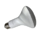 RAB-LIGHT-BULB-65W