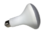 RAB-LIGHT-BULB-65W