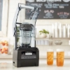 Vitamix 3 HP blender for smoothies